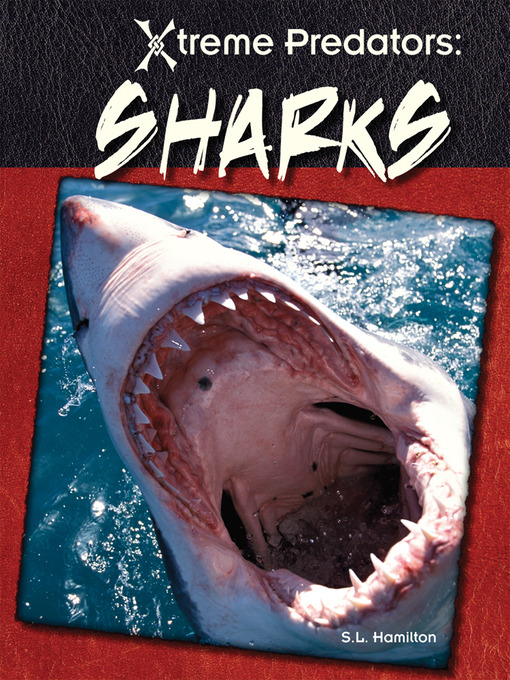 Title details for Sharks by Sue L. Hamilton - Available
